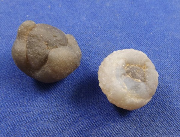 Botryoidal Chalcedony Small