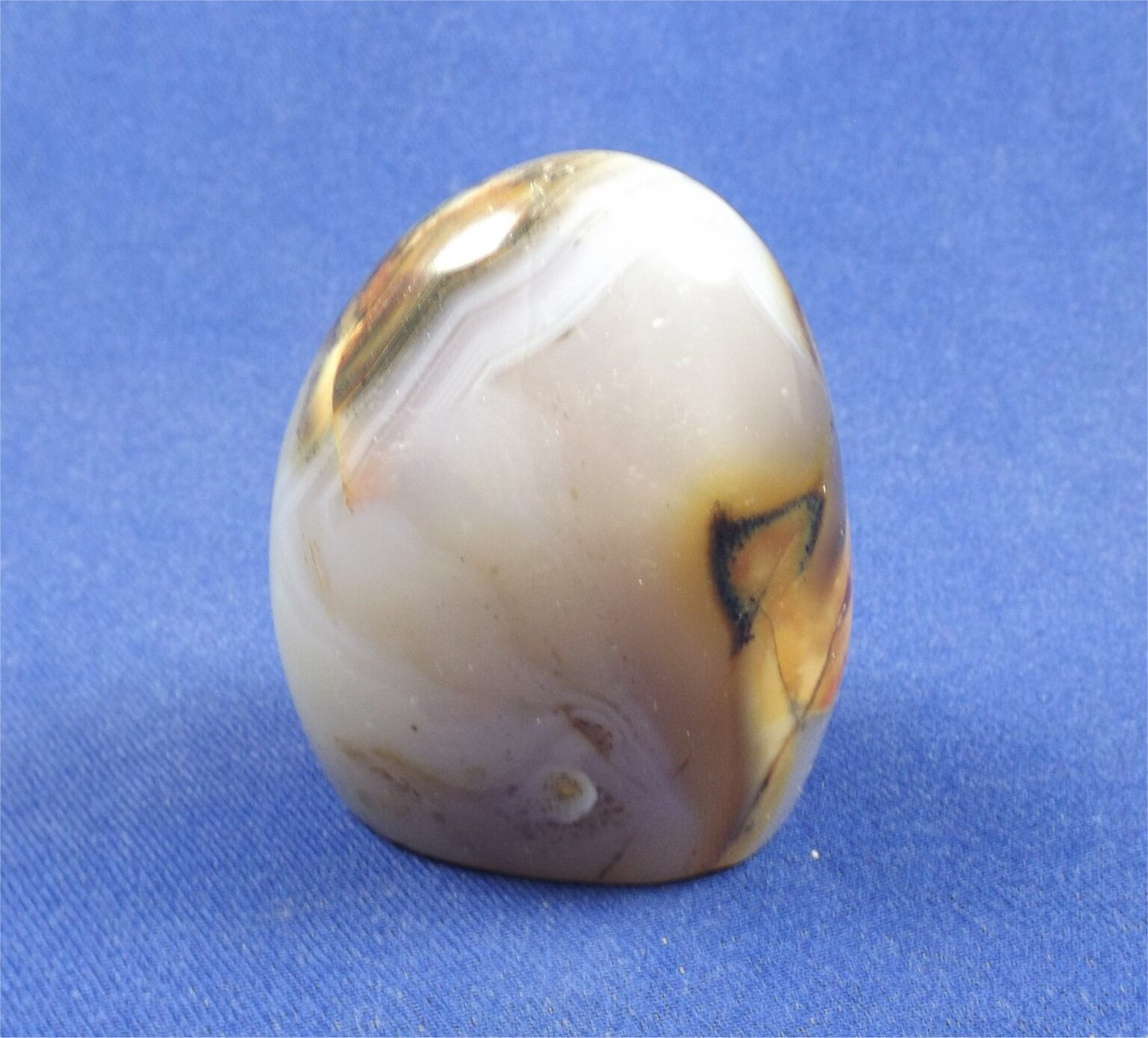 Dendritic Agate Freedform 10