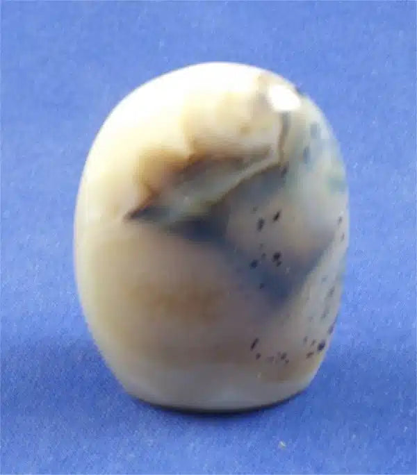 Dendritic Agate Freedform 9