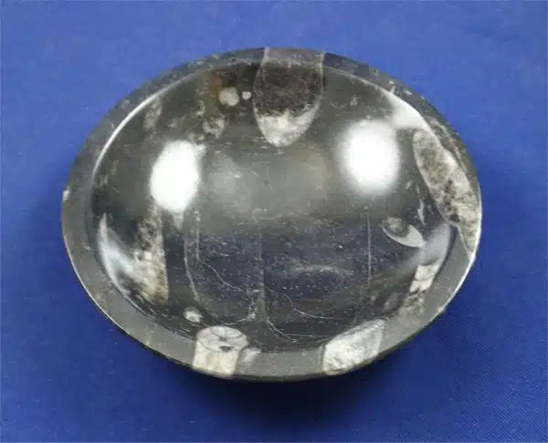 Orthoceras Bowl 4