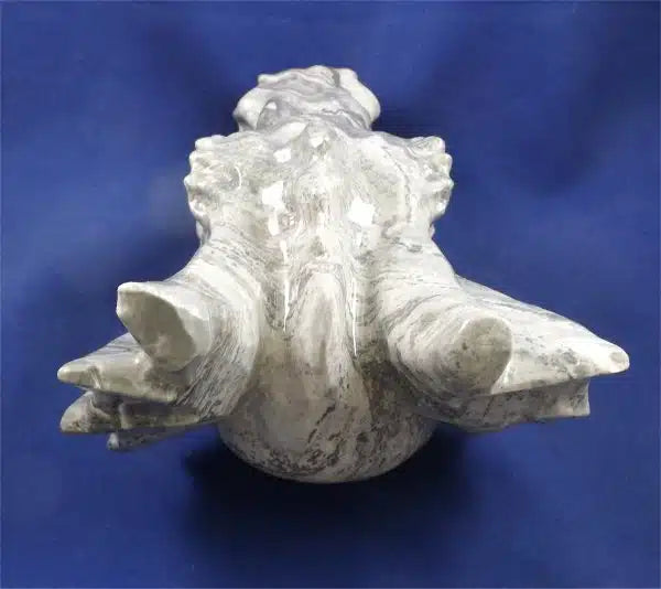 Picasso Jasper Dragon Skull