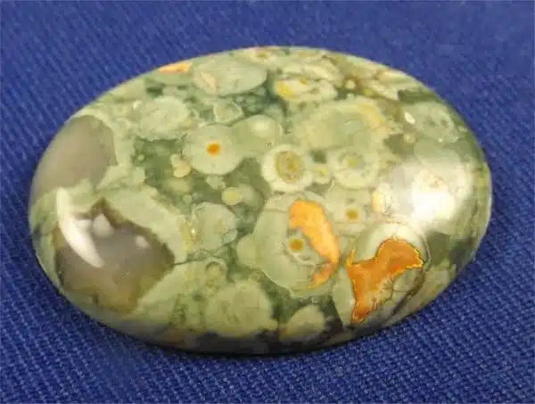Rain forest Jasper Cabochon