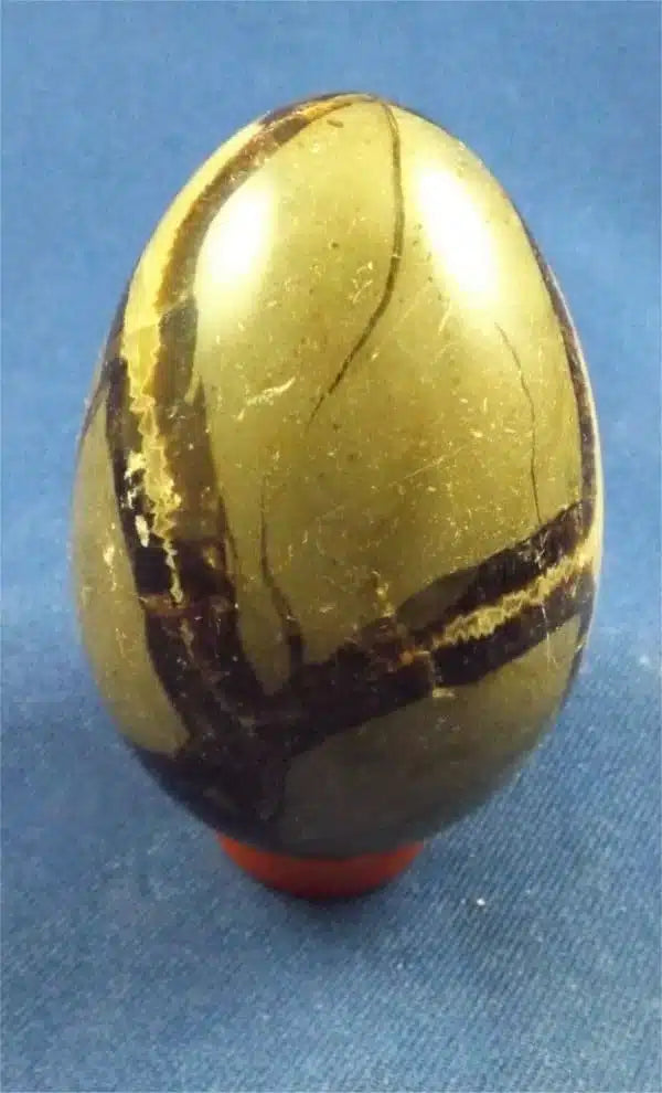Septarian Egg 1