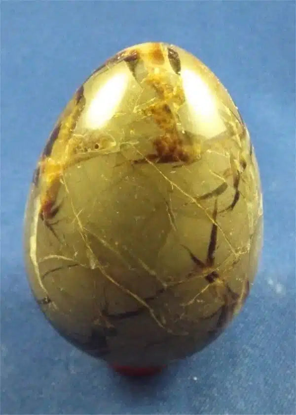 Septarian Egg 2