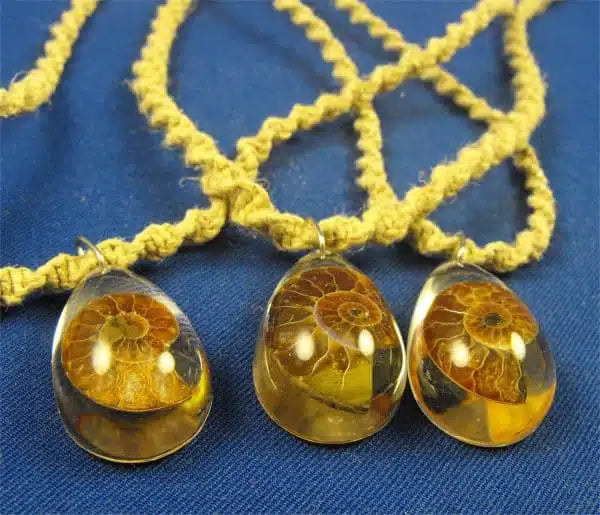 Metaphysical Healing Properties Of Ammonite