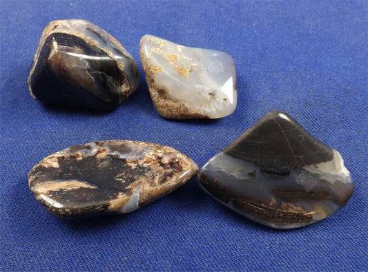 Metaphysical Healing Properties Of Blue Forest Petrified Wood