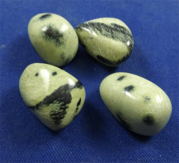 Metaphysical Healing Properties of Chytha