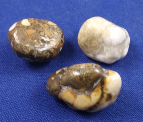 Metaphysical Healing Properties of Cobra Jasper - Crystals By Rob