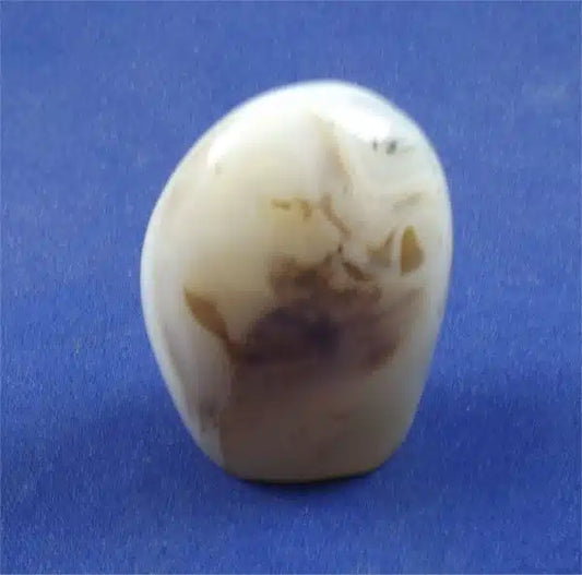 History of Dendritic Agate