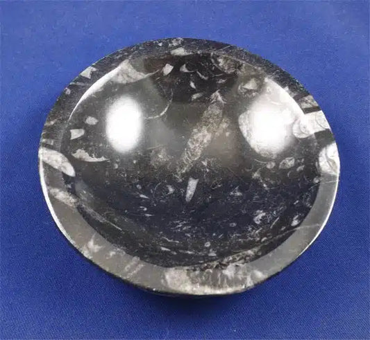 Metaphysical Healing Properties of Orthoceras - Crystals By Rob