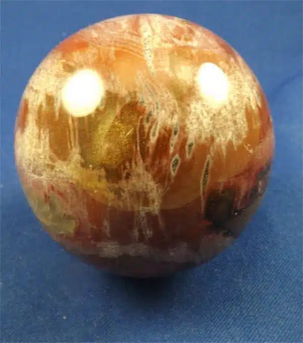 Metaphysical Healing Properties Of Petrified Wood