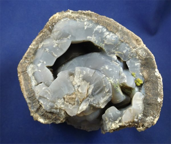 Petrified Wood - Crystals By Rob