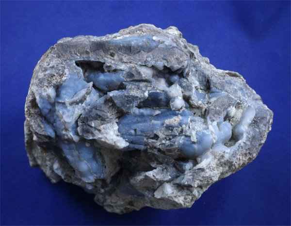 Petrified Wood Log With Chalcedony