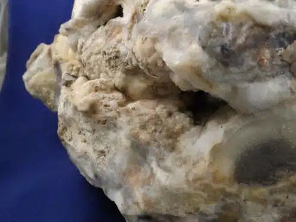 Botryoidal Chalcedony Geode