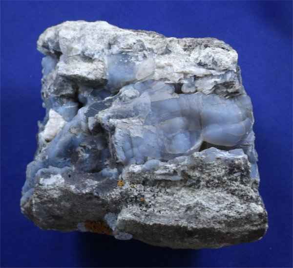 Petrified Wood Log With Chalcedony