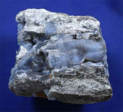 Petrified Wood Log With Chalcedony