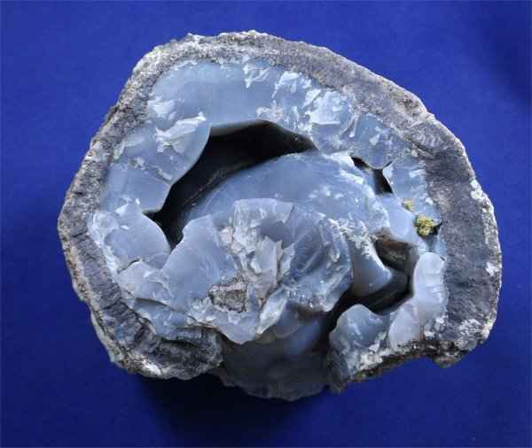 Petrified Wood Log With Chalcedony