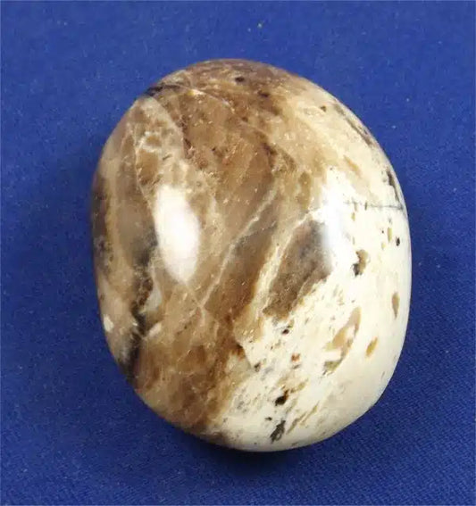 Black Opal Palm Stone 1