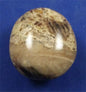 Black Opal Palm Stone 3