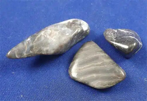 Blue Palm Wood Tumbled Stones Medium