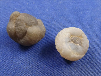 Botryoidal Chalcedony Small
