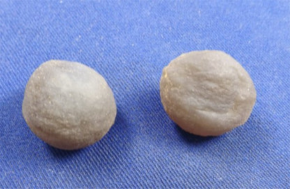 Botryoidal Chalcedony Small