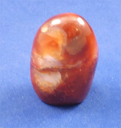 Carnelian Freeform 2