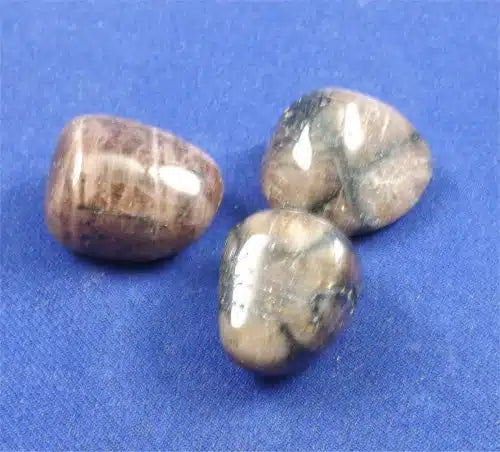 Chiastolite Tumbled Stones