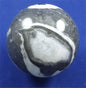 Clam Shell Jasper Sphere 3