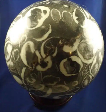 Clam Shell Jasper Sphere 2
