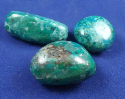 Chrysocolla Tumbled Stones Large