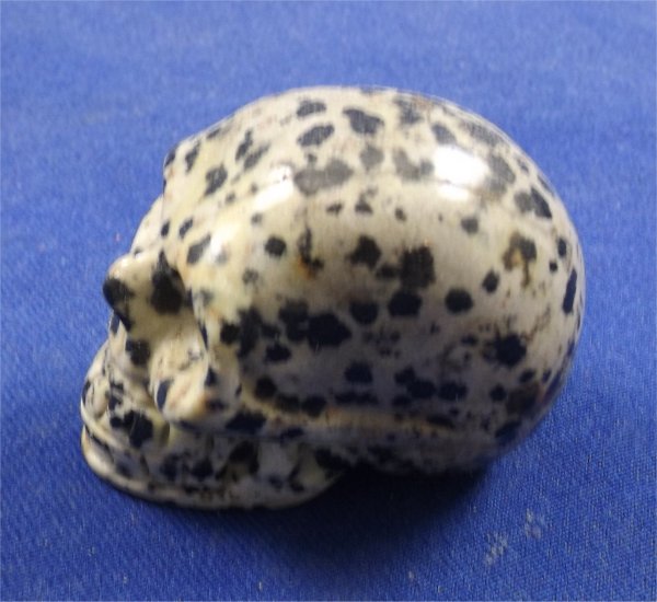 Dalmatian Jasper Skull