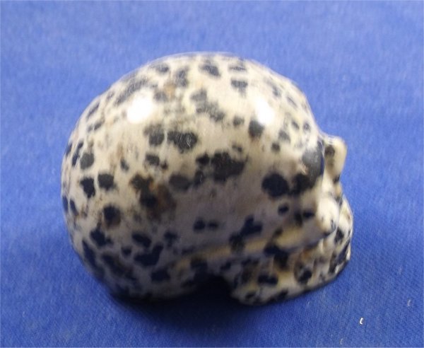 Dalmatian Jasper Skull