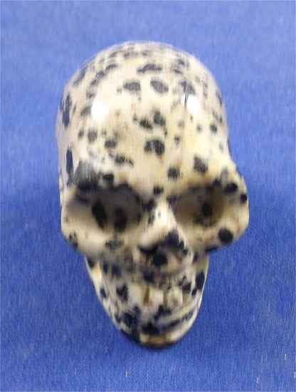 Dalmatian Jasper Skull