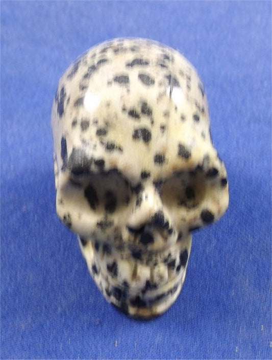 Dalmatian Jasper Skull