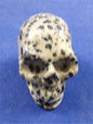 Dalmatian Jasper Skull