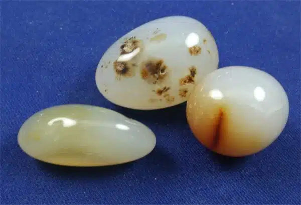 Dendritic Agate Tumbled Stones