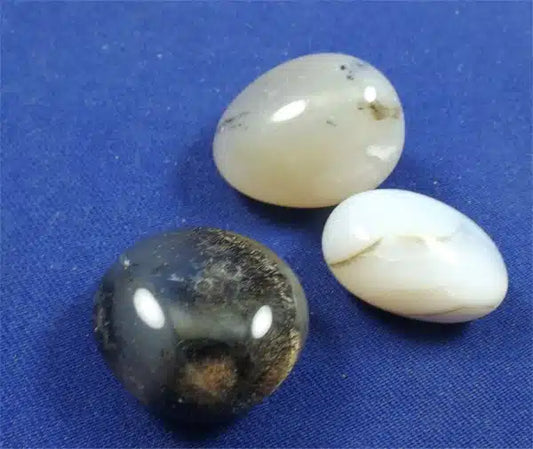 Dendritic Agate Tumbled Stones