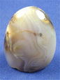Dendritic Agate Freedform 10