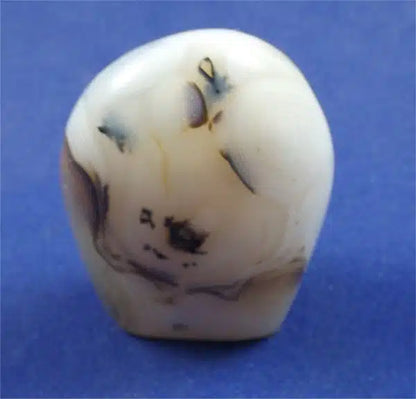 Dendritic Agate Freedform 1