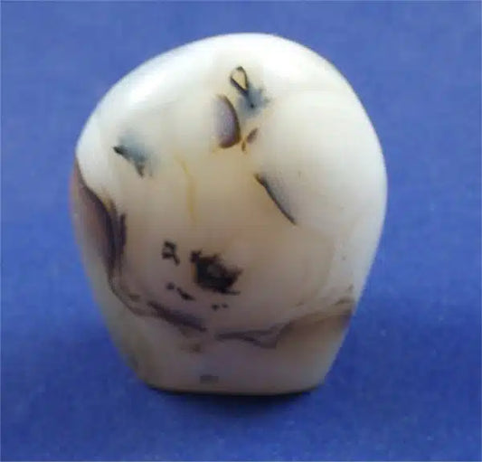 Dendritic Agate Freedform 1