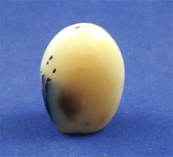 Dendritic Agate Freedform 2