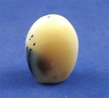 Dendritic Agate Freedform 2