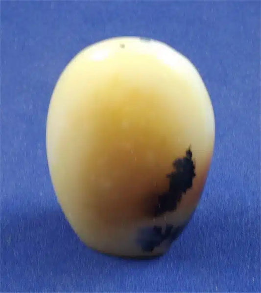 Dendritic Agate Freedform 2