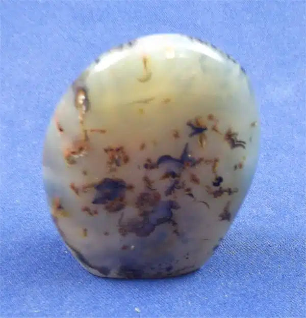 Dendritic Agate Freedform 3
