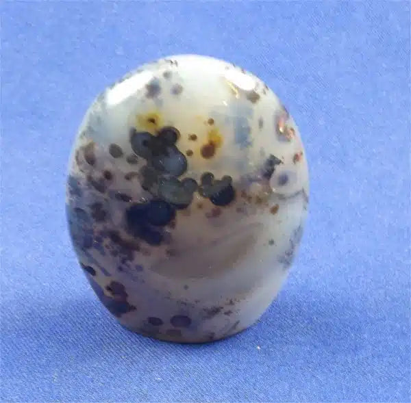 Dendritic Agate Freedform 3
