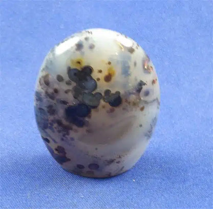Dendritic Agate Freedform 3