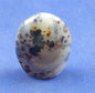 Dendritic Agate Freedform 3