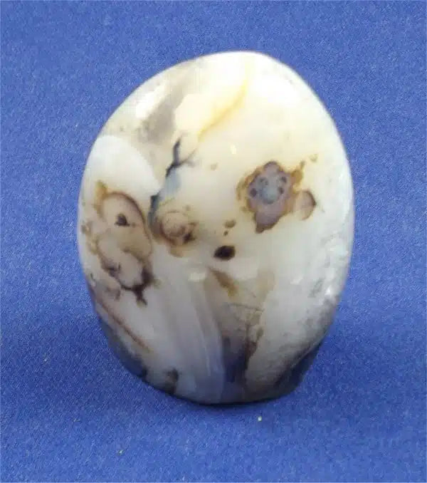 Dendritic Agate Freedform 4