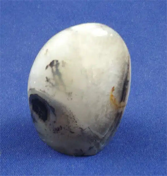 Dendritic Agate Freedform 4